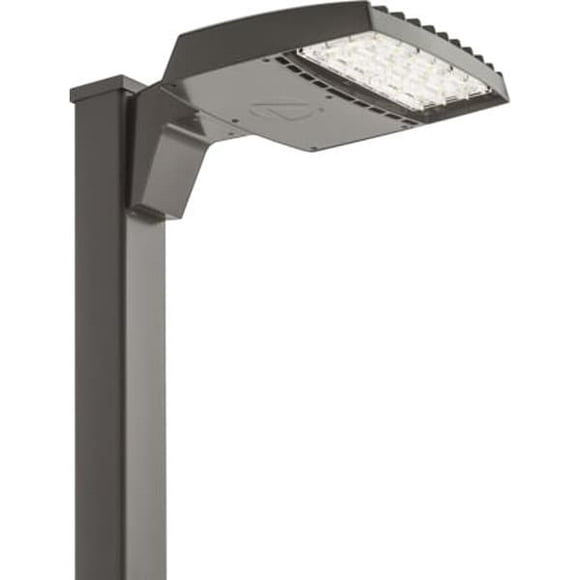 Area and Roadway Lighting Fixture,Pole