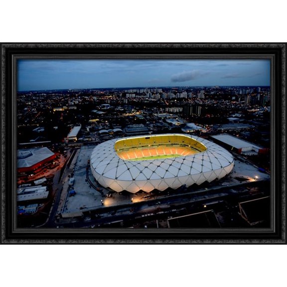 Arena Amazonas 40x28 Large Black Ornate Wood Framed Canvas Art