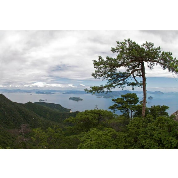 Arena "Island Hideaway" Wall Decal