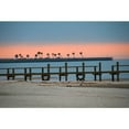 thumbnail image 1 of Arena "Palms Rising" Wall Decal, 1 of 2
