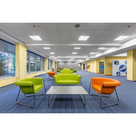 Arena Tegular 2x2 Soundproof Ceiling Tiles, Class A Fire Rated, 10 Panels per Box, Durable Acoustic White