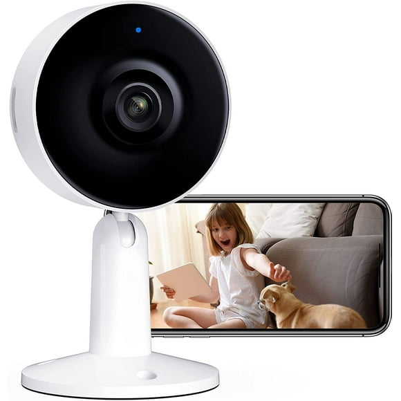 Indoor Surveillance Cameras