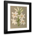 thumbnail image 1 of Arentine H. Arendsen 14x18 Black Modern Framed Museum Art Print Titled - Lilium (1872-1881), 1 of 5