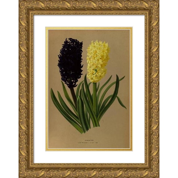 Arentine H. Arendsen 14x18 Gold Ornate Wood Frame and Double Matted Museum Art Print Titled - Hyacinths 2 (1872-1881)
