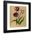 thumbnail image 1 of Arentine H. Arendsen 19x24 Black Modern Framed Museum Art Print Titled - Late Tulips (1872-1881), 1 of 5