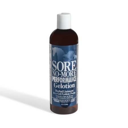 Arenus Sore No More Performance Gelotion 12oz