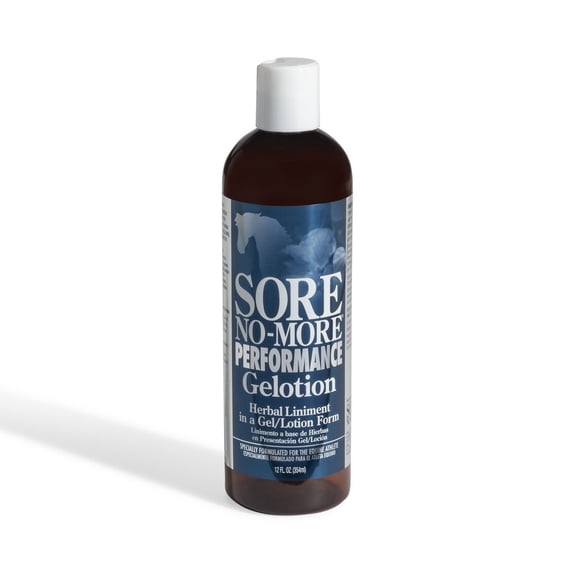 Arenus Sore No More Performance Gelotion 12oz