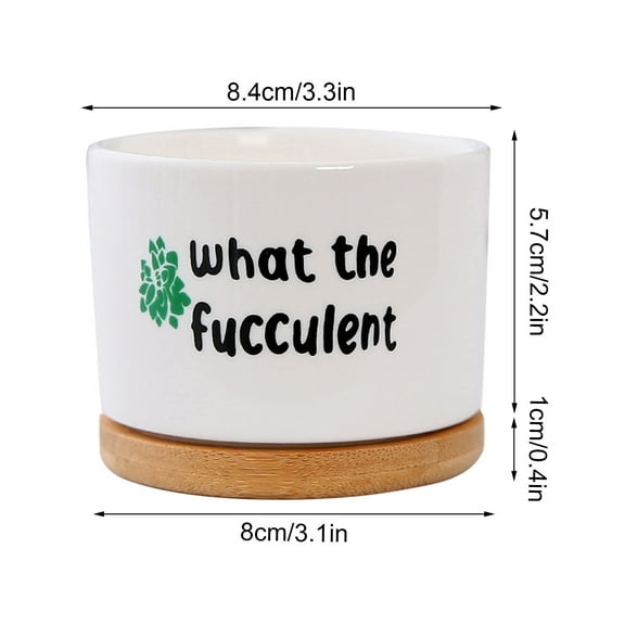 Arestory Funny Plant Pot for Succulent, Small Cute Flower Planter Pots for Indoor Plants, Ceramic Cactus Pots with Cartoon Quote Saying, Inspirational Planter Gift for Friends Daughter Son (No Plants)