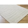 thumbnail image 1 of BoutiqueRugs Aretha Bohemian, Transitional Area Rug - Light Silver - 3'11" x 5'7", 1 of 6