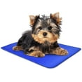 thumbnail image 1 of Arf Pets PVC Cooling Mat for Dogs and Cats, Blue, Extra Small, 1 of 7