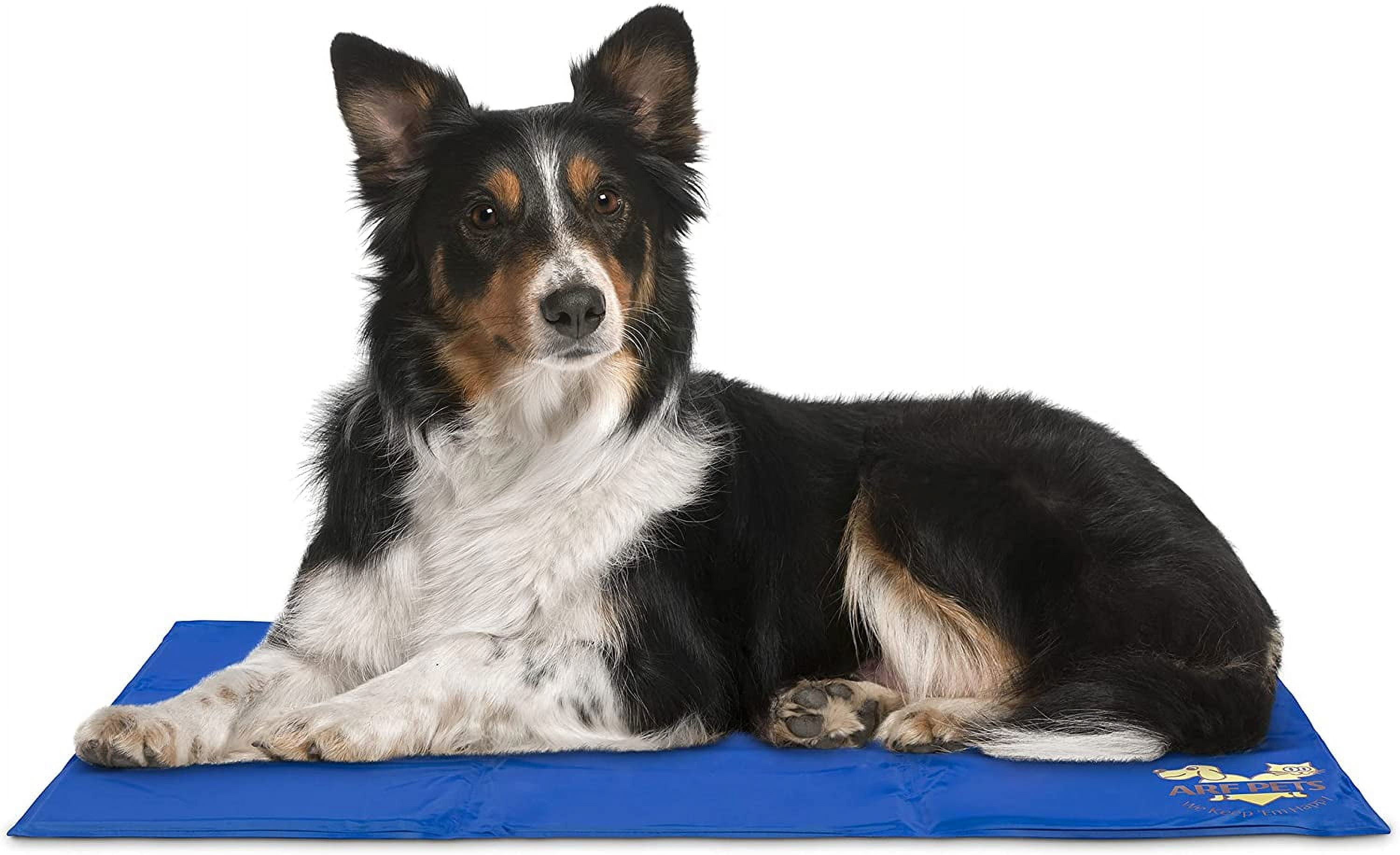 Blue Gel Pet Cooling Mat for Kennels and Beds