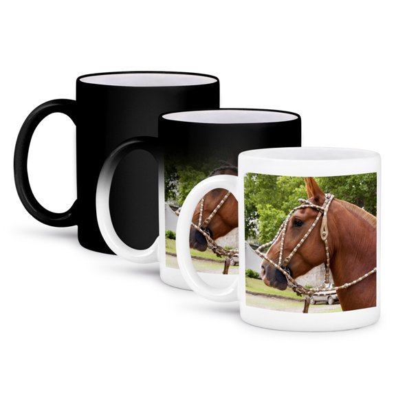 3drose, Argentina, Cordoba, Horse, Gaucho Cowboy - Sa01 Jri0044 - Jutta Riegel, 11oz Magic Transforming Mug