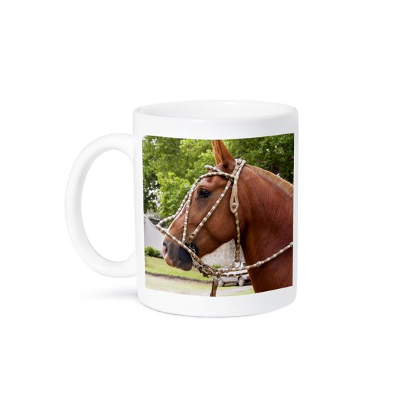 3drose, Argentina, Cordoba, Horse, Gaucho Cowboy - Sa01 Jri0044 - Jutta Riegel, 11oz Mug
