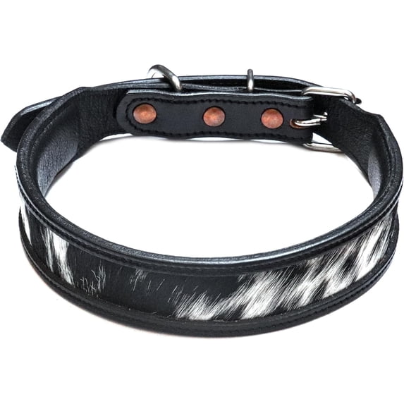 Argentina Cowhide Dog Collar Western Leather Pet Floral Tooled Heavy Duty Hand Crafted Adjustable Padded Soft Puppy Puppies Big Inlaid Beaded Buckstitch Size: X_Large - L - 27" / W - 1.5" M10