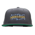 thumbnail image 1 of Argentina Decor Embroidered Wool Blend Prostyle Snapback - Dk Grey OSFM, 1 of 5