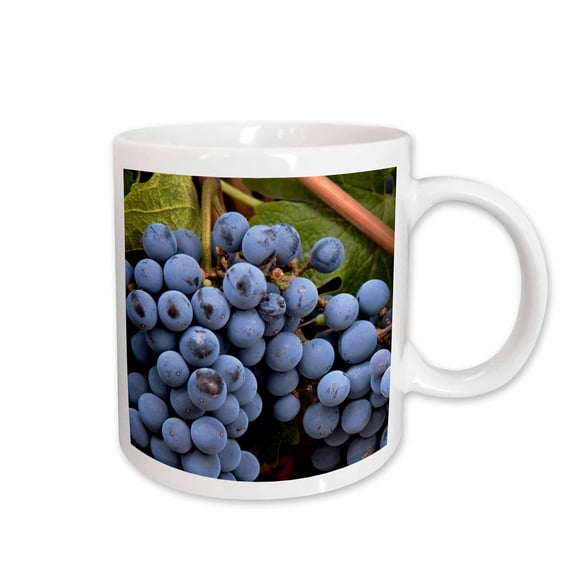 3drose, Argentina, Mendoza. Vineyard Grapes - Us24 Bja0033 - Jaynes Gallery, 11oz Mug