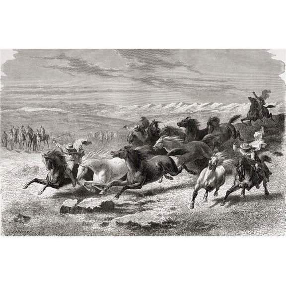 Argentinian Gauchos Rounding Up Wild Horses During The 19th Century From El Mundo En La Mano Published 1878 Poster Print