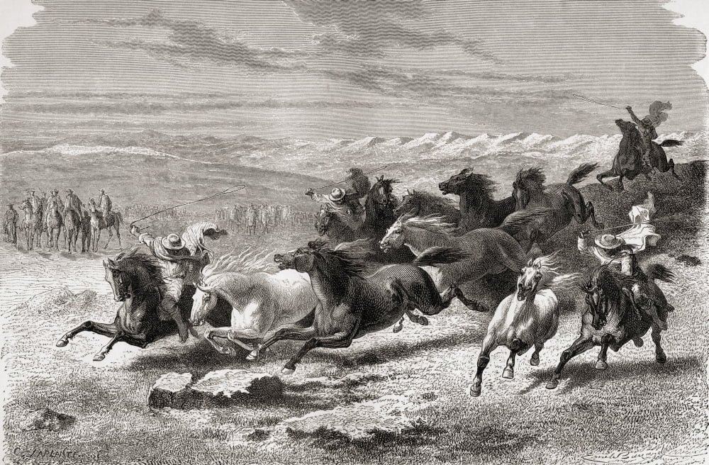 Argentinian Gauchos Rounding Up Wild Horses During The 19Th Century From El Mundo En La Mano Published 1878 Canvas Art - Ken Welsh Design Pics (18 x 11)