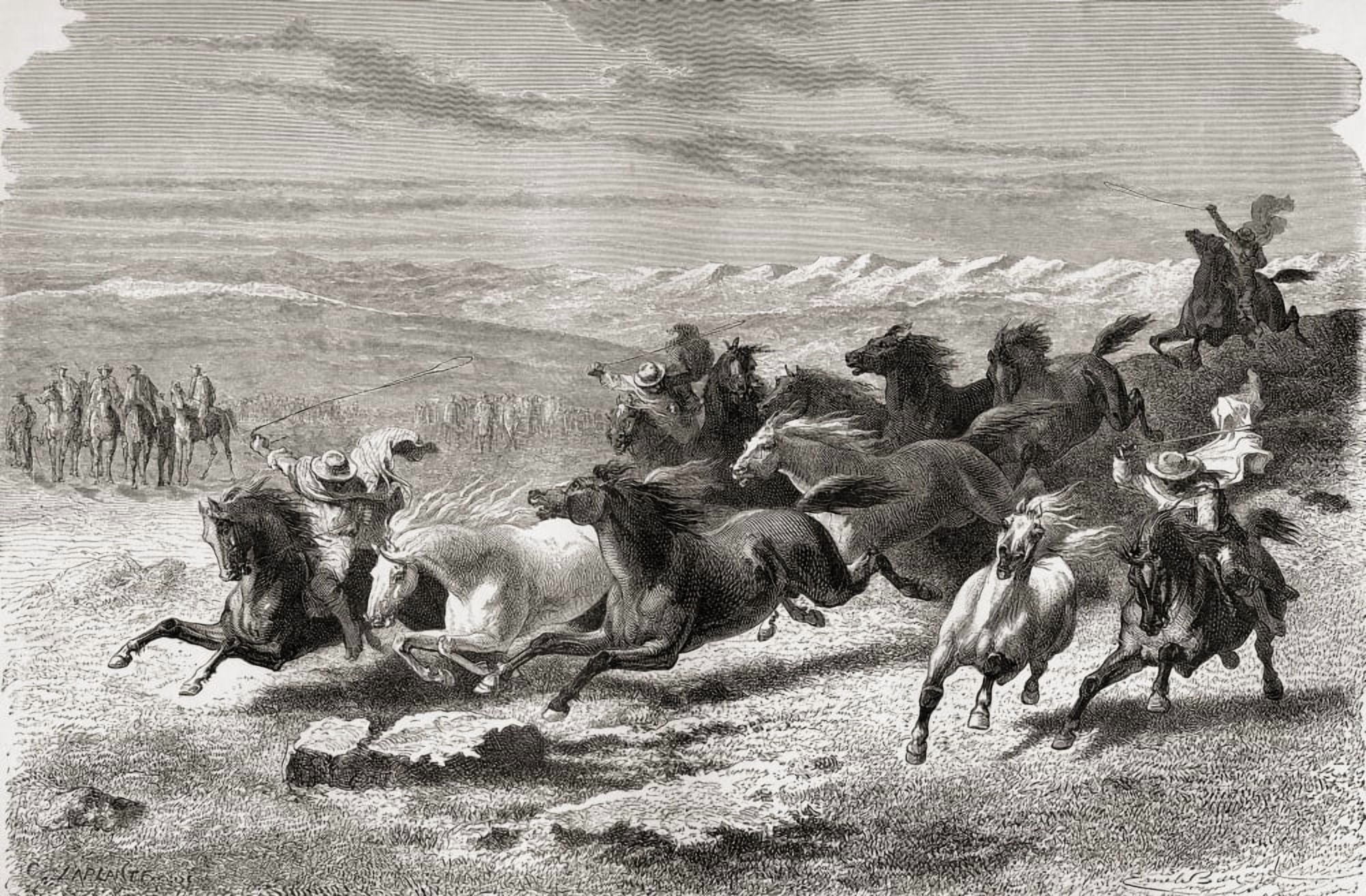 Argentinian Gauchos Rounding Up Wild Horses During The 19Th Century From El Mundo En La Mano Published 1878 Canvas Art - Ken Welsh Design Pics (36 x 22)