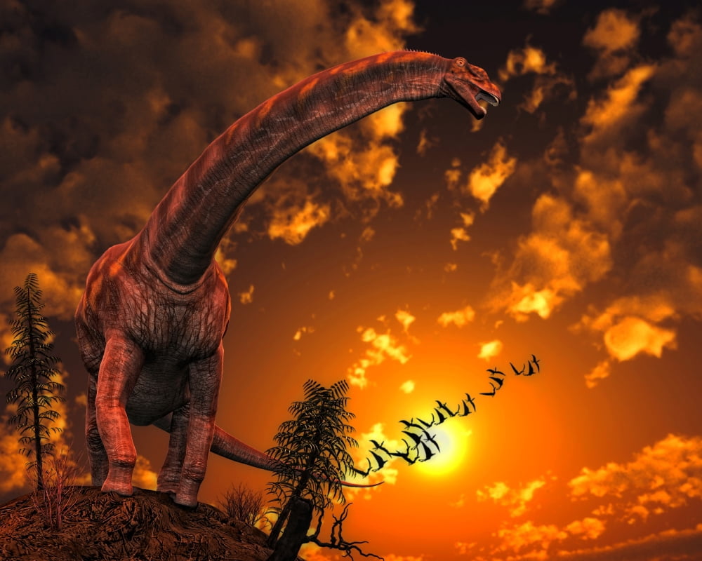 Argentinosaurus a titanosaur sauropod dinosaur from Argentina Canvas Art - Philip BrownlowStocktrek Images (16 x 13)