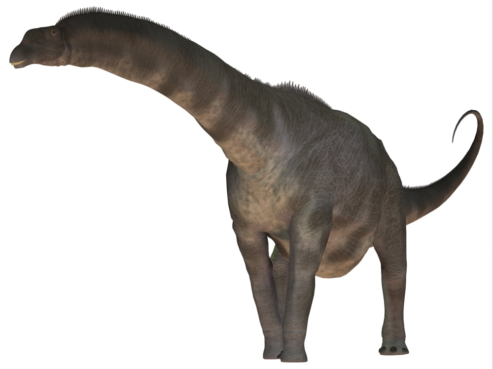 Argentinosaurus dinosaur Canvas Art - Corey FordStocktrek Images (33 x 25)