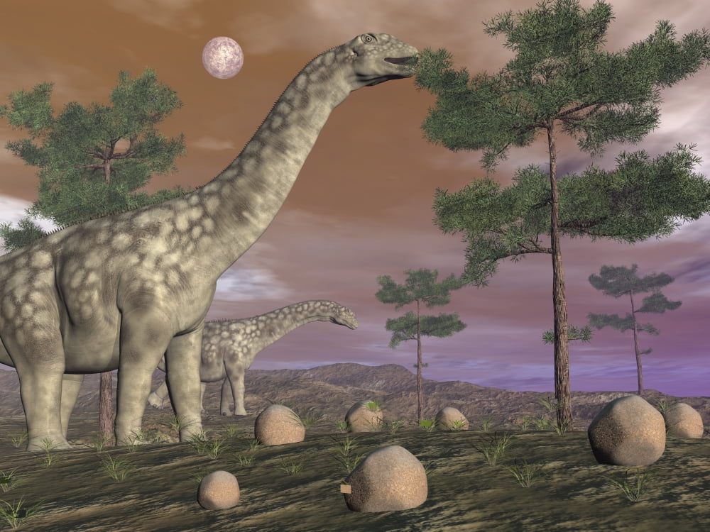 Argentinosaurus dinosaur eating leaves from the tree tops Canvas Art - Elena DuvernayStocktrek Images (17 x 13)