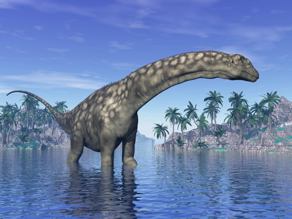 Argentinosaurus dinosaur grazing in a tropical climate Canvas Art - Elena DuvernayStocktrek Images (17 x 13)