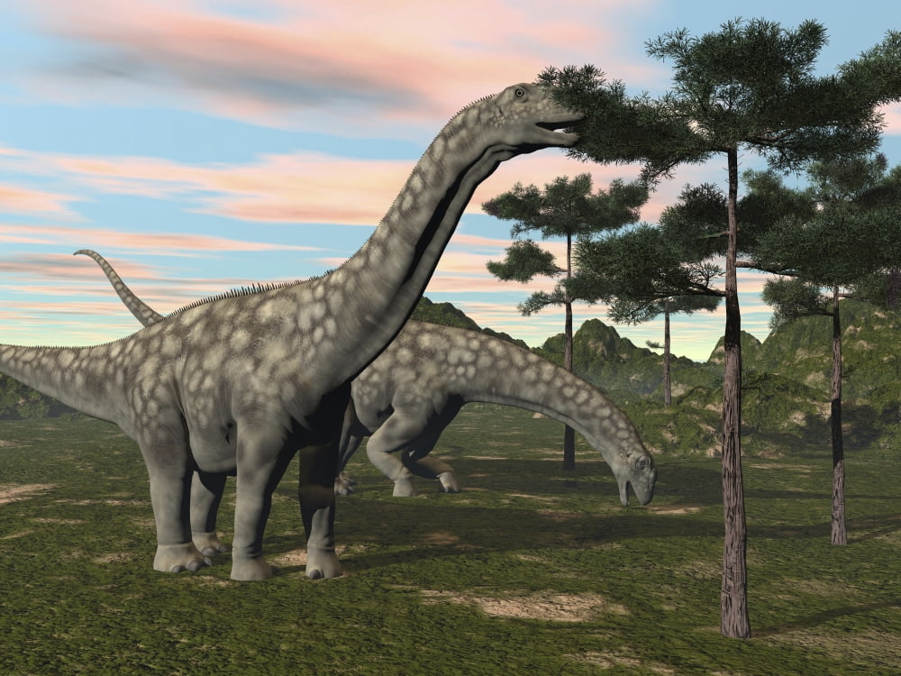 Argentinosaurus dinosaur grazing on treetops Canvas Art - Elena DuvernayStocktrek Images (17 x 13)