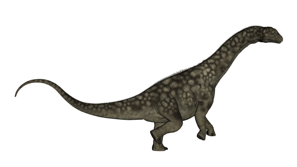 Argentinosaurus dinosaur isolated on white background Canvas Art - Elena DuvernayStocktrek Images (19 x 11)