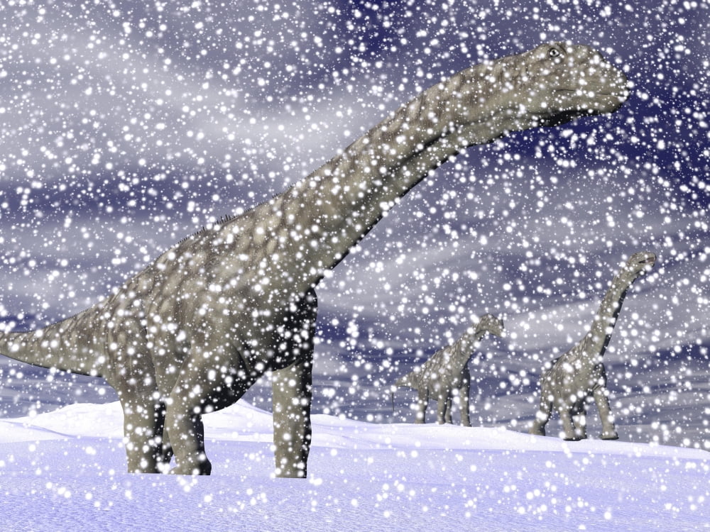Argentinosaurus dinosaur walking in the snow on a winter day Canvas Art - Elena DuvernayStocktrek Images (17 x 13)
