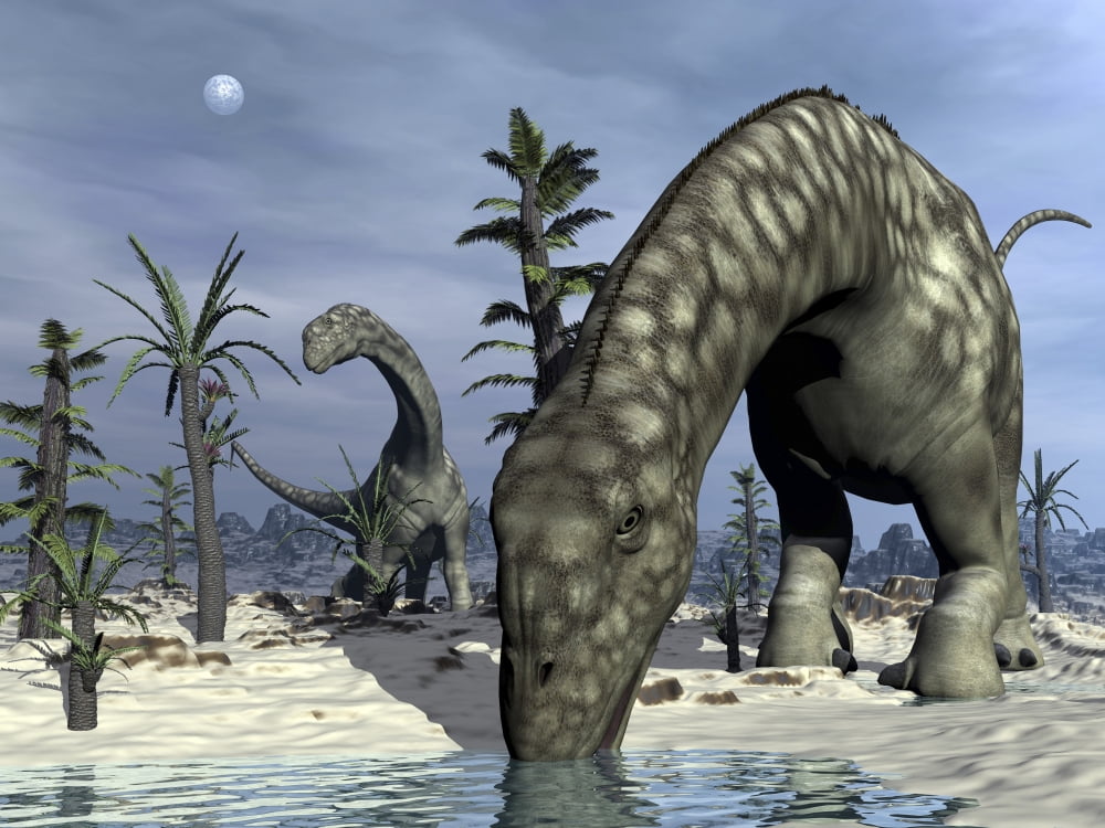 Argentinosaurus dinosaurs grazing in the desert Canvas Art - Elena DuvernayStocktrek Images (17 x 13)