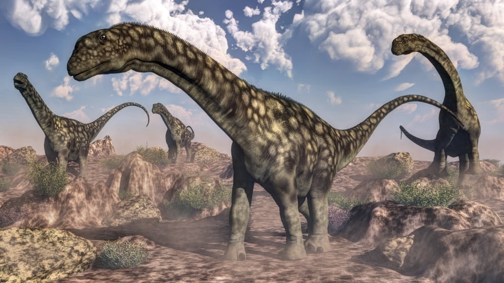 Argentinosaurus dinosaurs walking in the rocky desert Canvas Art - Elena DuvernayStocktrek Images (37 x 21)