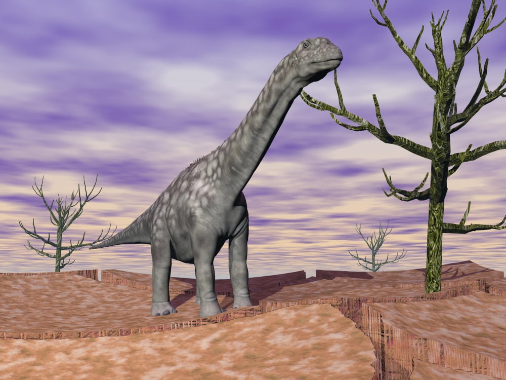 Argentinosaurus standing on the cracked desert ground next to dead trees Canvas Art - Elena DuvernayStocktrek Images (33 x 25)