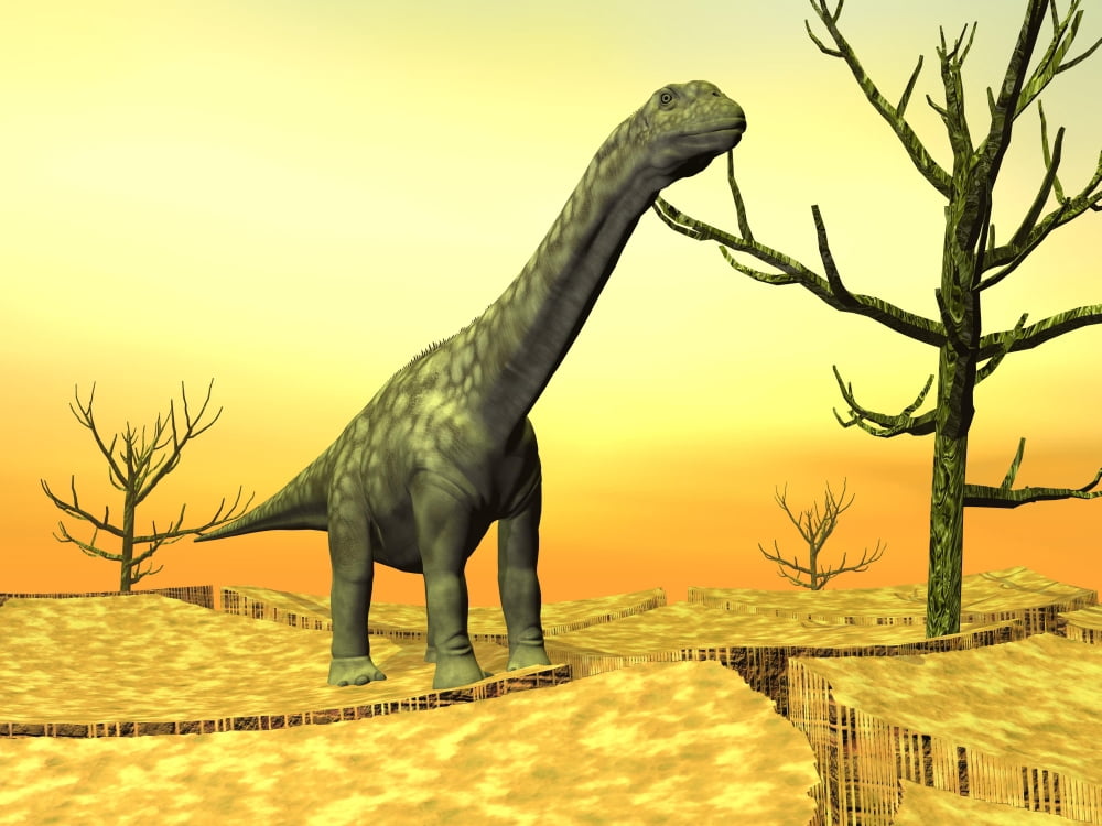 Argentinosaurus standing on the cracked desert ground next to dead trees Canvas Art - Elena DuvernayStocktrek Images (33 x 25)