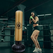 Arghm Children's Boxing Pillar,Inflatable,Training Equipment,PVC,63in,Household Decompression,Vertical Sandbag