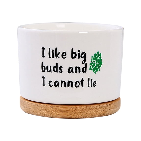 Arghm Funny Succulent Pots – Ceramic Fleshy Flowerpots with Tray, Indoor Desktop Bonsai Decoration (2 Sizes)