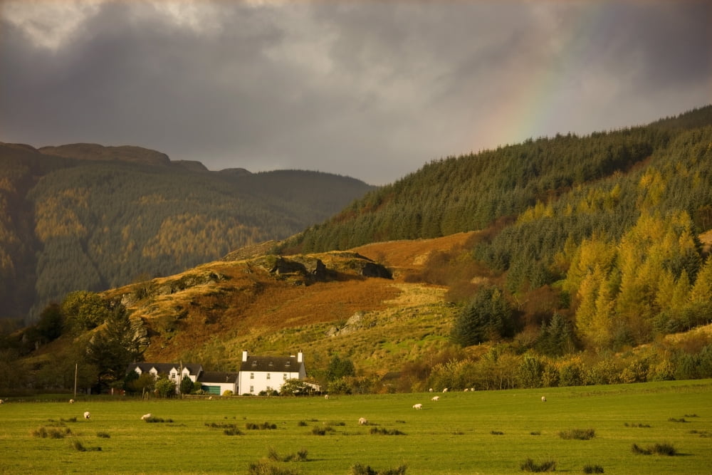 Argyl And Bute Scotland Uk Canvas Art - John Short Design Pics (36 x 24)