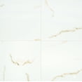 thumbnail image 1 of Aria Bianco 24 in. x 24 in. Polished Porcelain Floor and Wall Tile (16 sq. ft. / case), 1 of 5