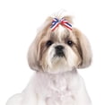 thumbnail image 1 of Aria DT361 99 Aria Stars and Stripes Bows Canister 100/Pkg, 1 of 3