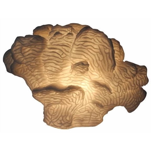 Aria Home Coral Cloud Table Lamp sculpted sandstone glow plug-in corded , Brown
