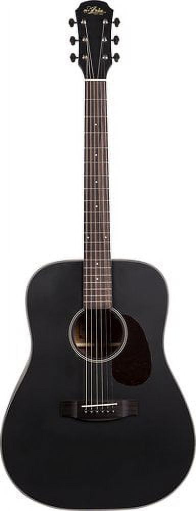 Aria アコースティックギター Aria 100 Series ギター ARIA-100 MTN