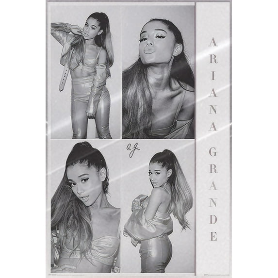Ariana Grande - Music Personality Poster (B&W Photo Montage) (Size: 24" x 36") (Laminated Poster)