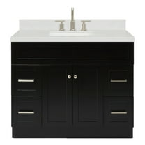 Ariel F042scqrvo Hamlet 42" Free Standing Single Basin Vanity Set - Black