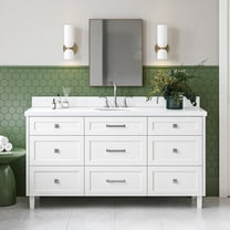 Ariel Monroe 67 Inch Single Oval Sink Bathroom Vanity With Pure White Quartz Countertop 1.5 inch Edge In White