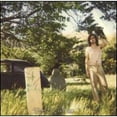 thumbnail image 1 of Pre-Owned Ariel Pink's Haunted Graffiti - Doldrums (2010), 1 of 1