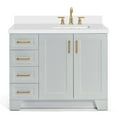 thumbnail image 1 of Ariel Taylor 43 In. Right Offset Rectangle Sink Vanity With White Quartz Countertop In Grey, 1 of 11
