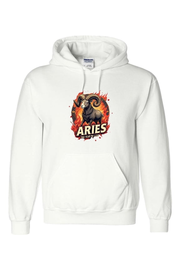 Aries 2025 A Zodiac Astrology Sign Future Prediction Graphic Hoodie, up to size 5XL