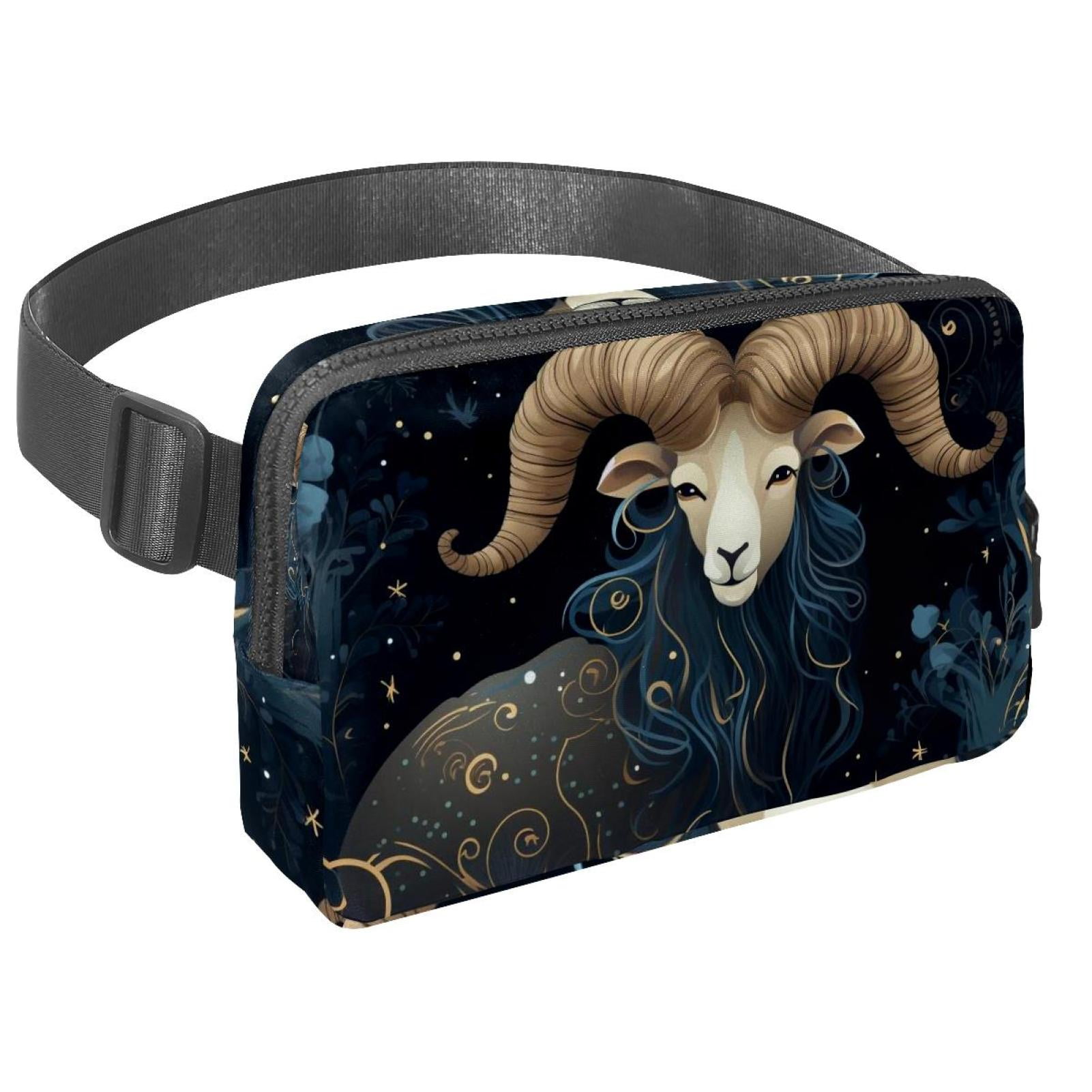 Aries Lightweight Adjustable Waist Bag with Extension Strap - Unisex Fanny Pack