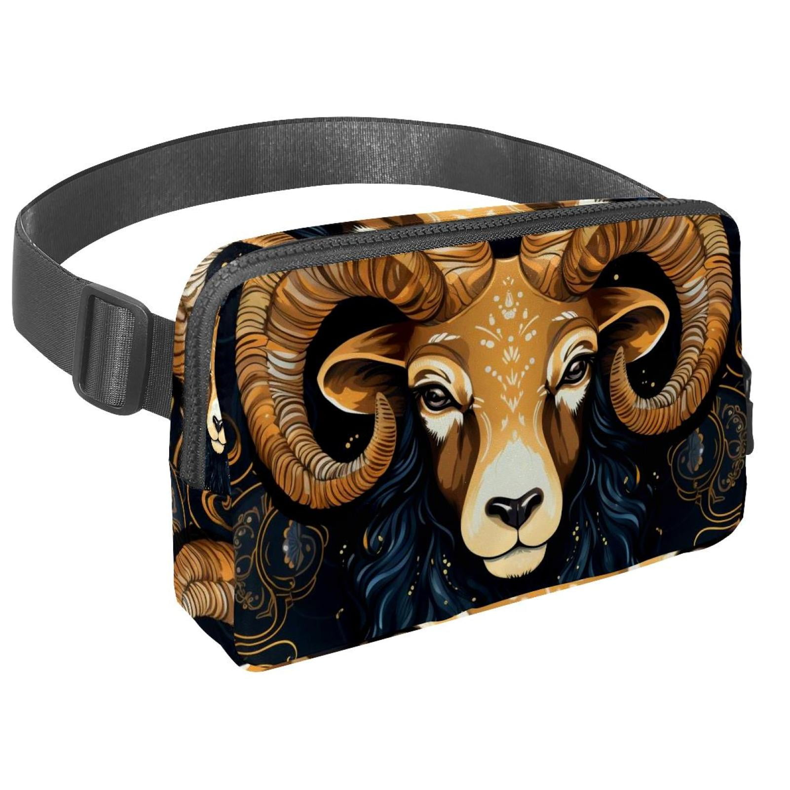 Aries Running Belt Waist Packs Fanny Bag: Lightweight, Adjustable, with Extension Strap, Unisex