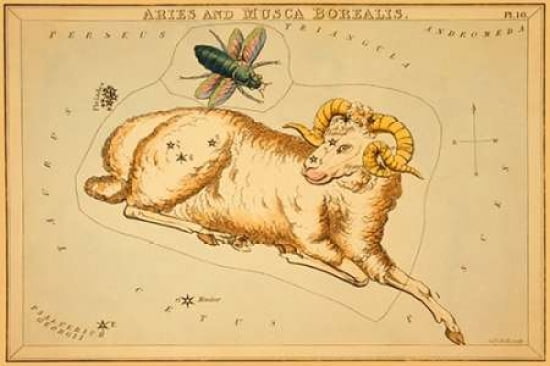 Aries and Musca Borealis 1825 Canvas Art - Jehoshaphat Aspin (24 x 36)